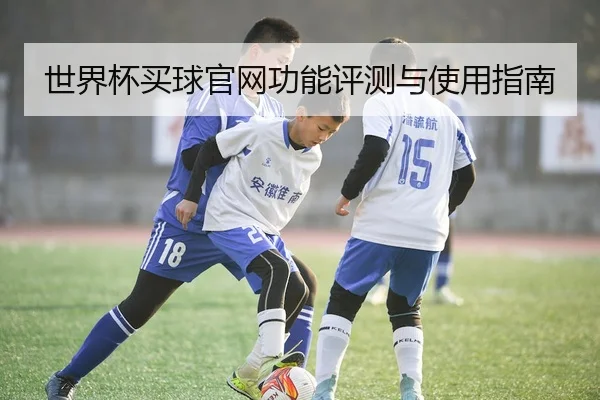 世界杯买球官网功能评测与使用指南