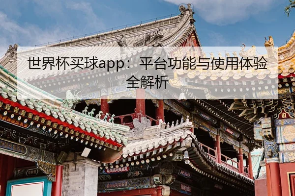 世界杯买球app：平台功能与使用体验全解析