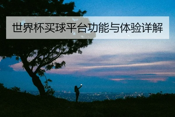 世界杯买球平台功能与体验详解