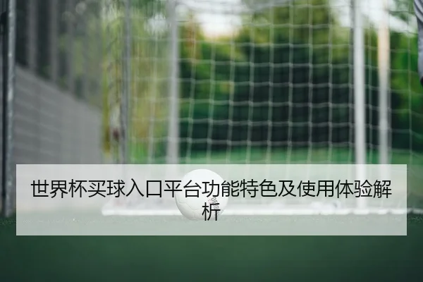 世界杯买球入口平台功能特色及使用体验解析