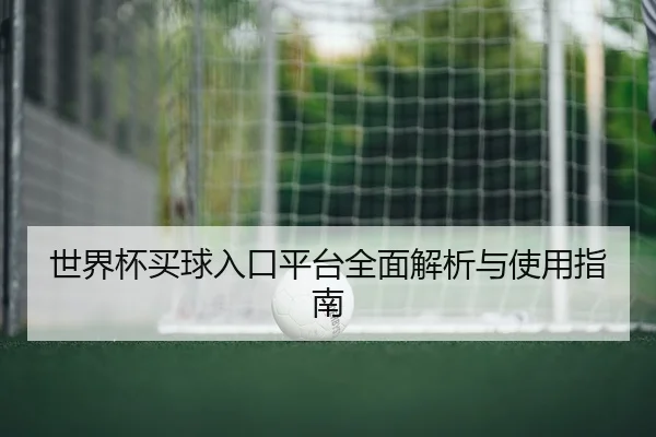 世界杯买球入口平台全面解析与使用指南